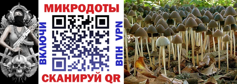 Галлюциногенные грибы Cubensis  Ивдель 